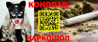 сатива Малгобек