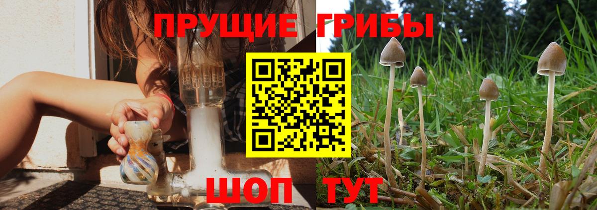 Ухта  Галлюциногенные грибы Psilocybine cubensis  Галлюциногенные грибы мицелий  Вход с VPN 